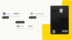 pliant Kreditkarte neben verschiedenen Zahlungsein- und ausgängen