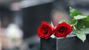 Rote Rosen liegen auf einem Grabstein - Beerdigung Kosten